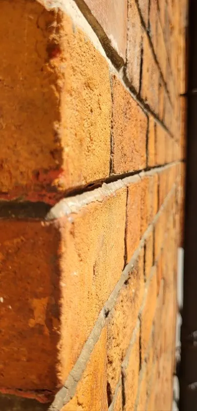 Close-up view of a terracotta brick wall in urban setting.