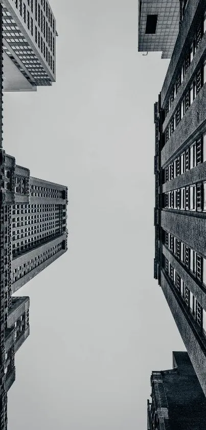 Monochrome view of towering urban buildings reaching towards the sky.