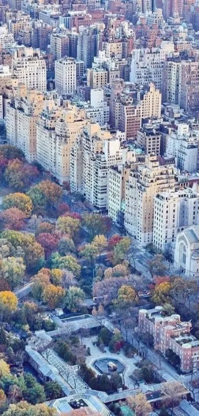 Aerial view of city skyline and park in autumn hues.