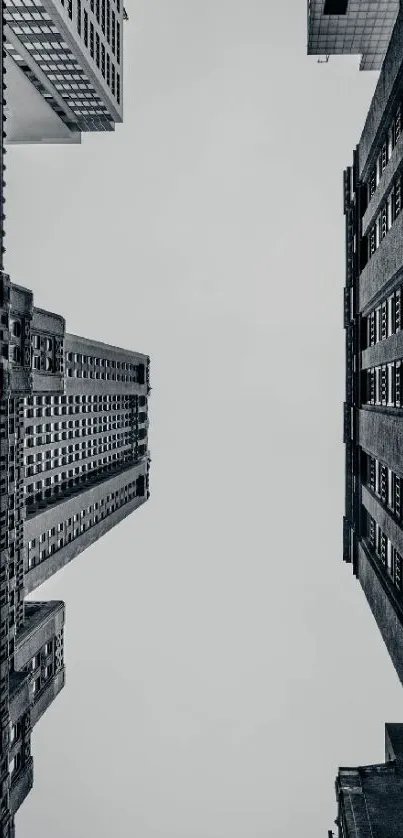 Gray urban skyscraper cityscape wallpaper.