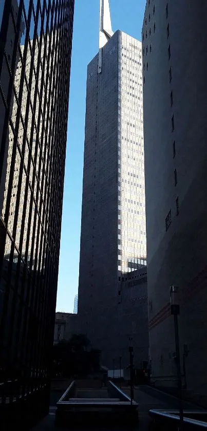 Silhouetted skyscraper against twilight sky.