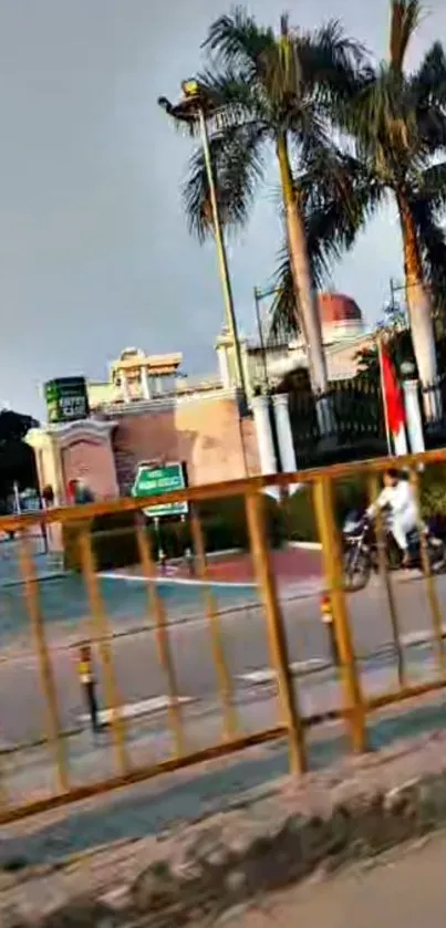 Urban street view with palm trees and motorbike passing by.