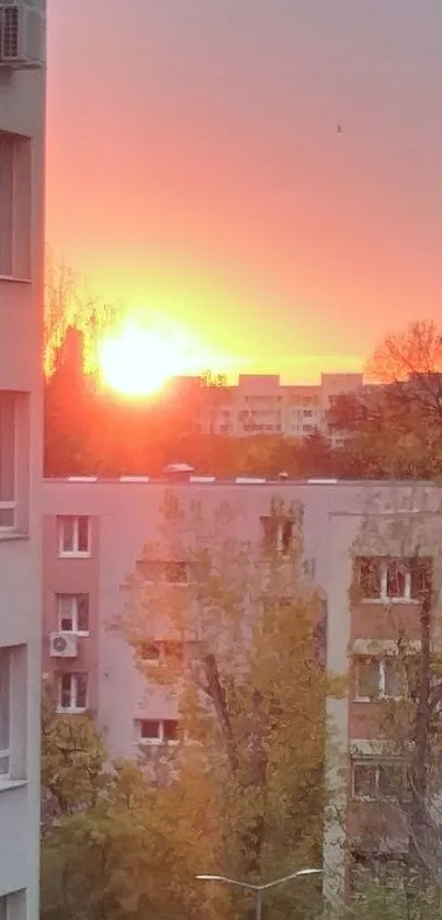 Beautiful coral sunset over urban landscape.