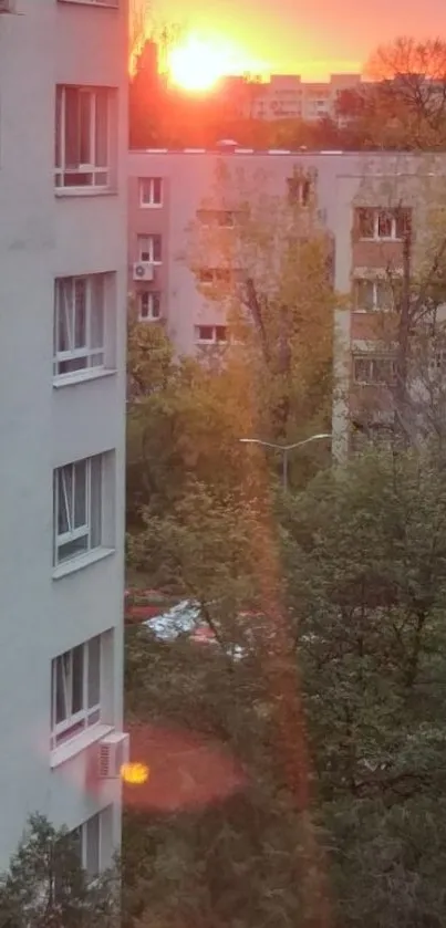 Orange sunset over city buildings viewed from a window.