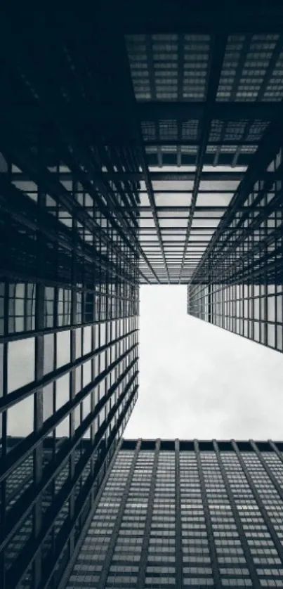 Symmetrical view of modern skyscraper buildings in a monochrome cityscape.