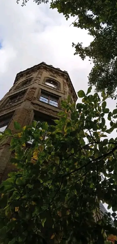 Urban tower framed by green foliage against a partly cloudy sky.