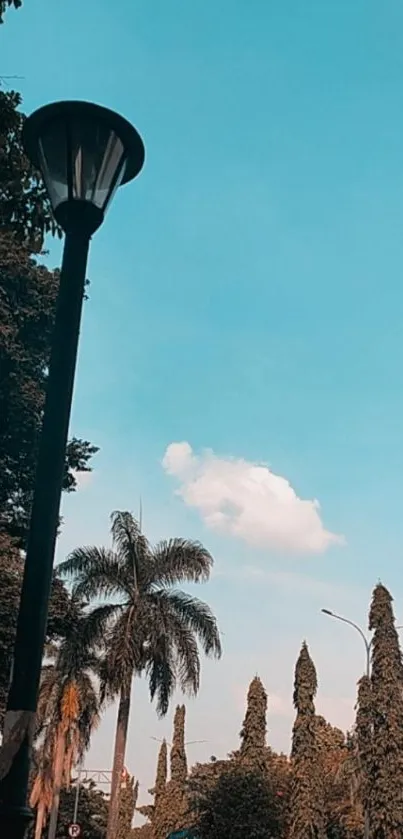 Urban street with palms and sky blue background.