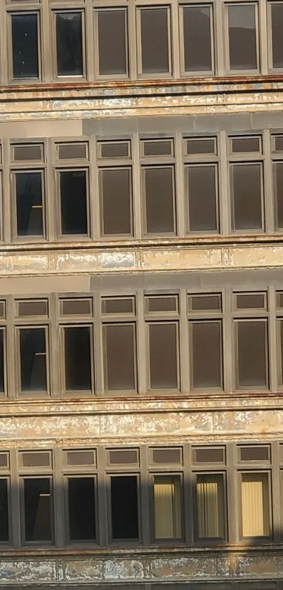 Urban building facade with brown windows reflecting light.