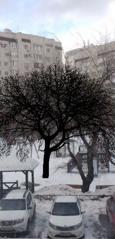 Urban winter scene with a silhouetted tree on a snowy city background.