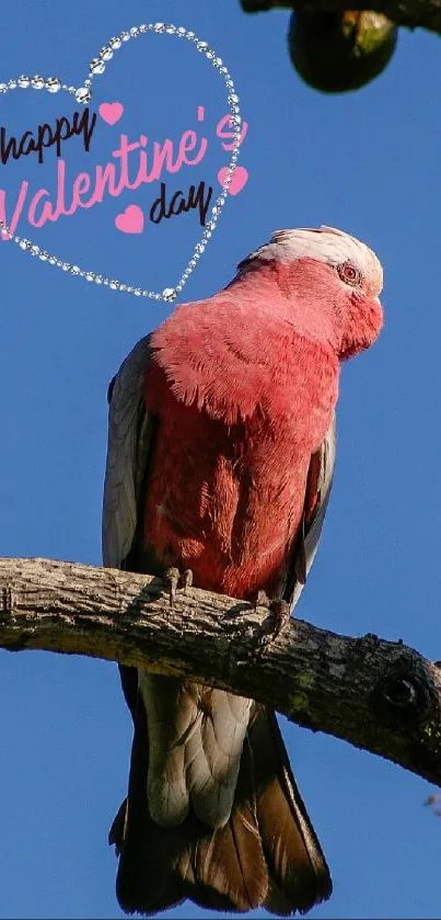 Colorful pink bird on branch with Valentine's Day message on blue sky background.