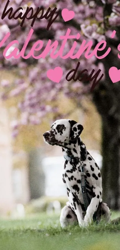 Dalmatian sits under cherry blossoms with Valentine's message.