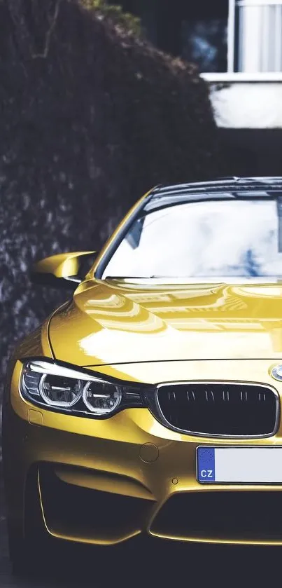 Vehicle Car Grille Live Wallpaper