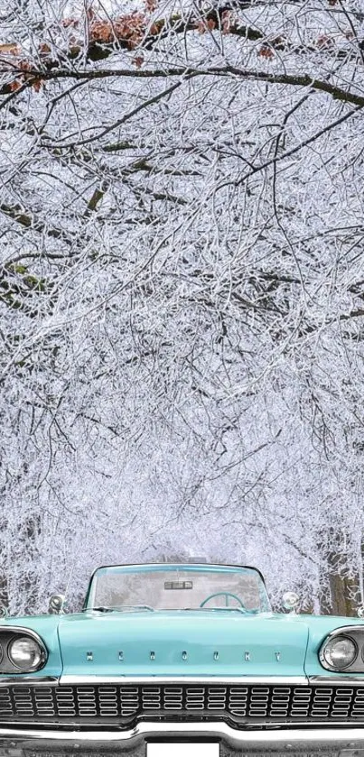 winter road trip Live Wallpaper