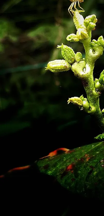 Lush green plant stems on a dark background, showcasing detailed texture.