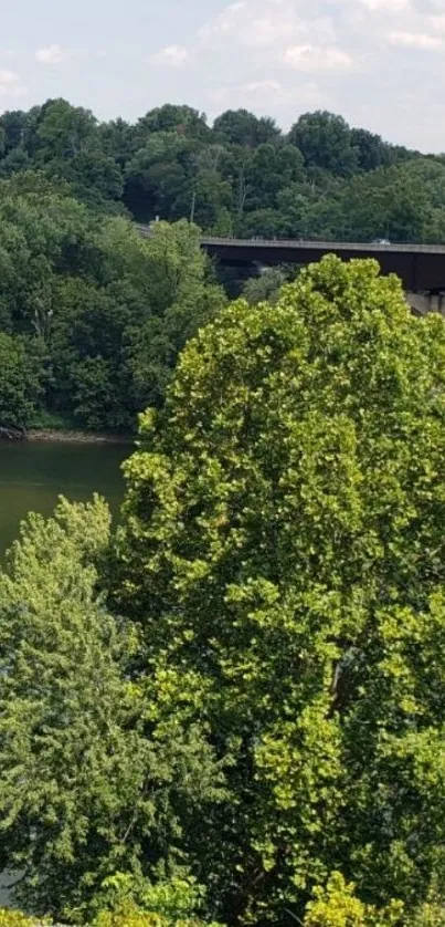 Scenic view of riverbanks with lush trees and a bridge.