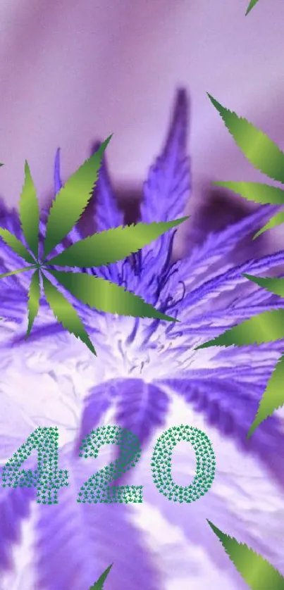 Vibrant 420 wallpaper with purple backdrop and green cannabis leaves.