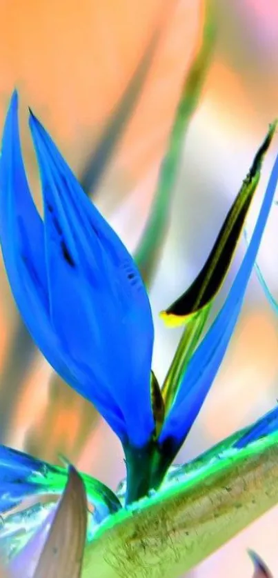 Abstract floral wallpaper with blue petals and tropical colors.