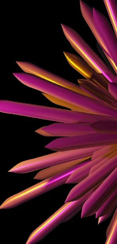 Vibrant abstract pink and yellow flower petals on a black background.