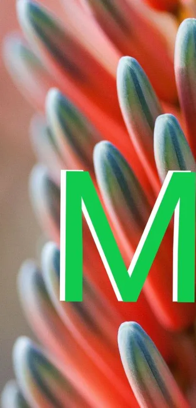 Vibrant red-orange plant pattern with green letter M.