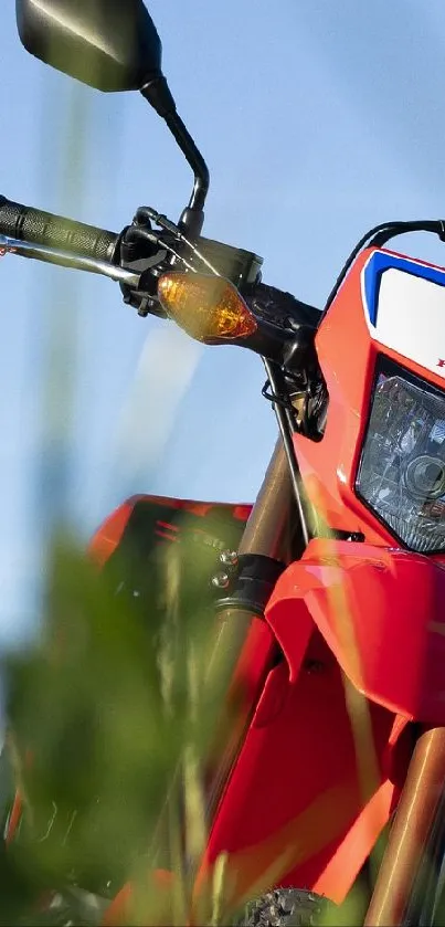 Red adventure motorcycle surrounded by green grass under a blue sky.