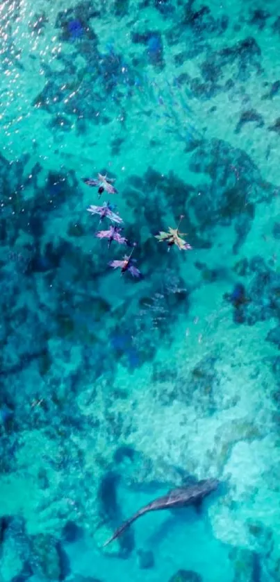 Aerial view of a vibrant, fantasy ocean scene with mythical sea creatures.