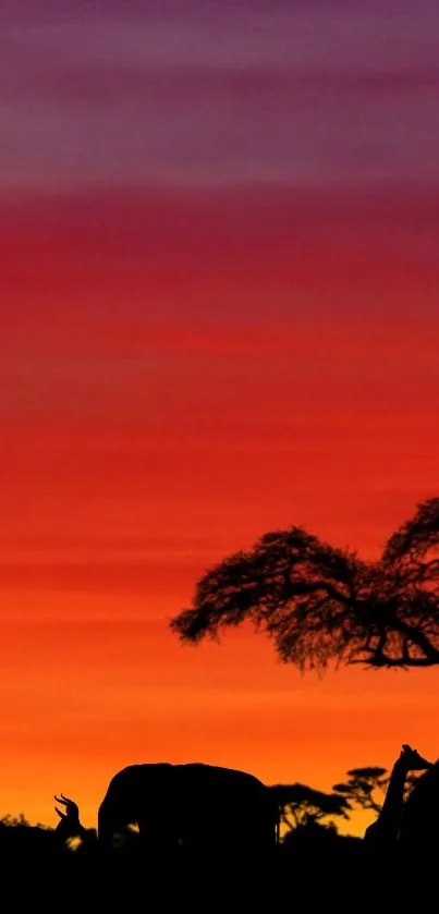 Silhouetted animals under vibrant African sunset with colorful sky.