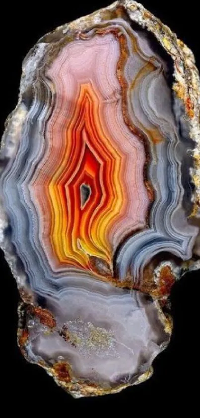 Agate slice with vibrant colors on black background.