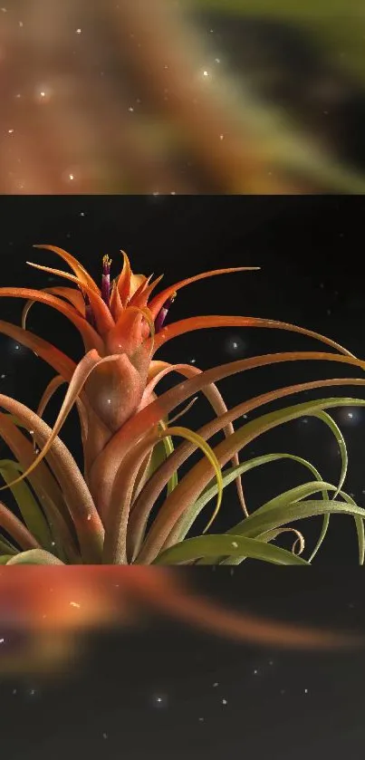 Vibrant air plant artwork on dark background.