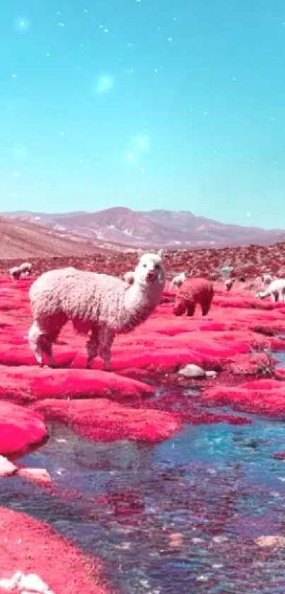 Colorful alpacas roam a surreal red and blue landscape.