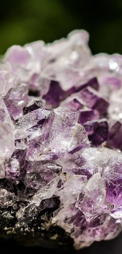 Vibrant amethyst crystal on green background.
