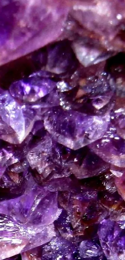Purple crystal wallpaper with intricate details.