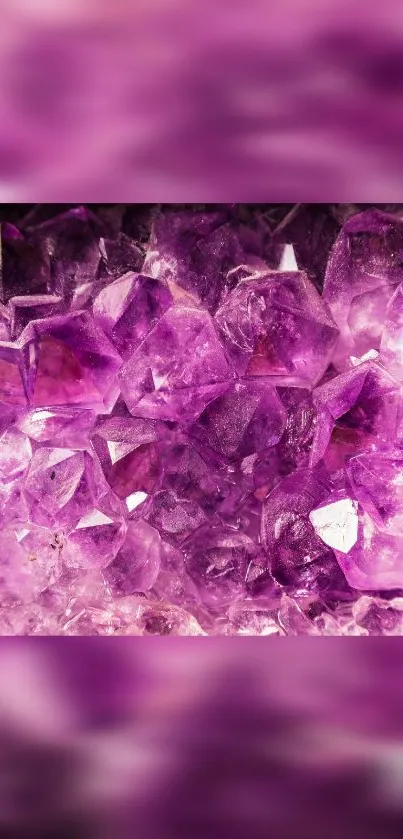 Close-up of vibrant purple amethyst crystals with geometric patterns.