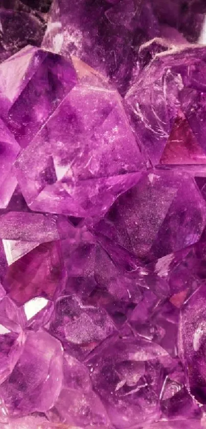 Closeup of vibrant purple amethyst crystals.