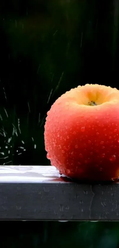 Red apple with water droplets on a rail.