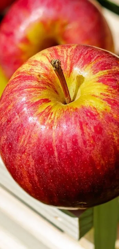 Red apples in a wooden crate on green grass, vibrant nature wallpaper.