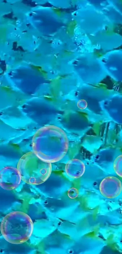 Aqua fish and bubbles in underwater scene, vibrant mobile wallpaper.