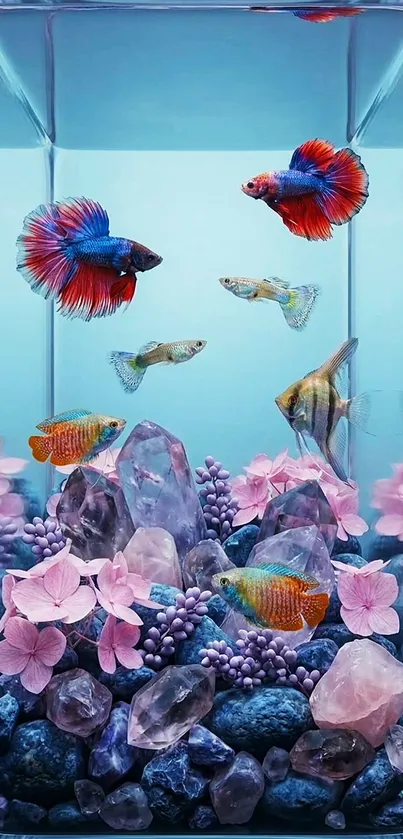 Colorful aquarium with fish and crystals