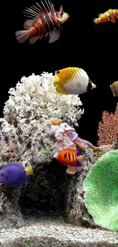 Vibrant aquarium scene with colorful fish and coral reefs.