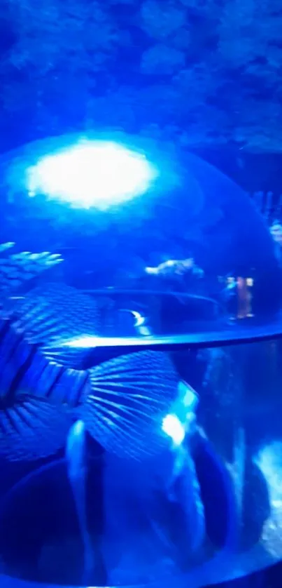 Luminous fish in a glass dome with a vibrant blue background.