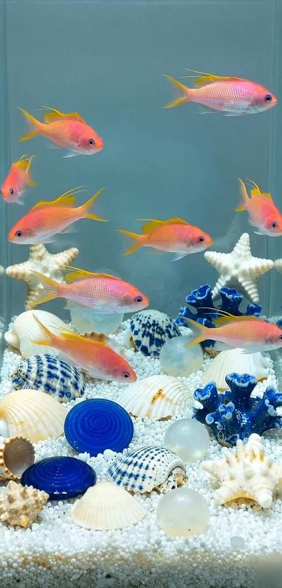 Vibrant aquarium with colorful fish and seashells.
