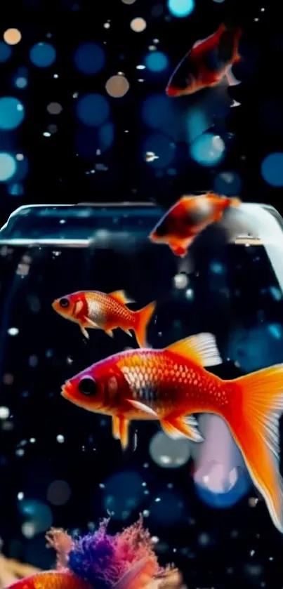 Vibrant aquarium wallpaper with colorful fish in a glass bowl.