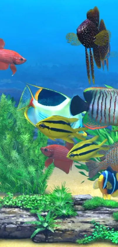 Colorful fish swim in a vibrant aquarium setting.