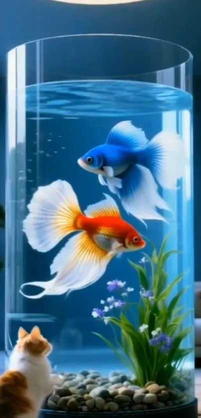 Aquarium with colorful fish and cat observing.