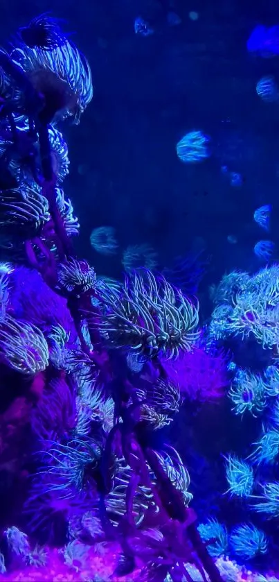 Vibrant purple and blue corals in an aquatic wallpaper.