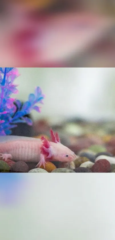 Vibrant axolotl in colorful aquarium setting.