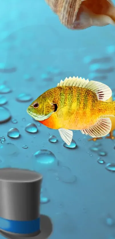 Colorful fish and hat on watery blue background.