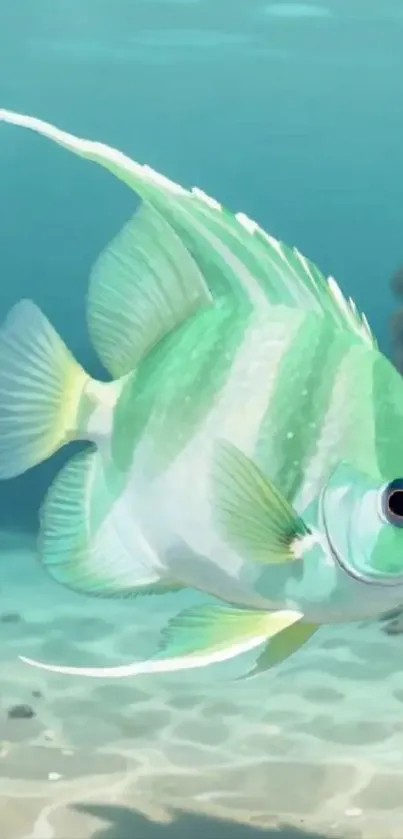 Colorful underwater fish illustration art.