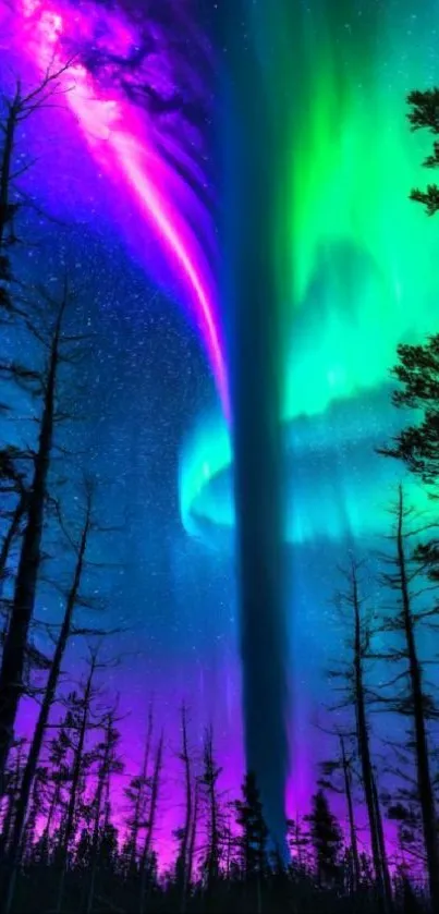 Vibrant aurora borealis over silhouetted trees at night.