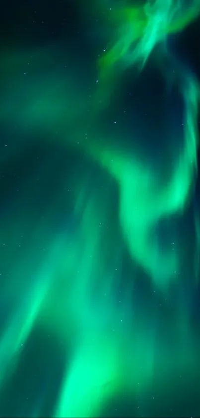 Vibrant green aurora borealis lights up the night sky.