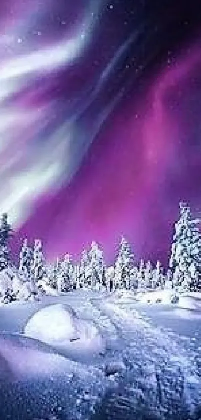 Snowy landscape with vibrant aurora borealis in the night sky.